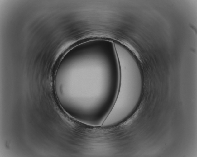 X0000091920981200709051227