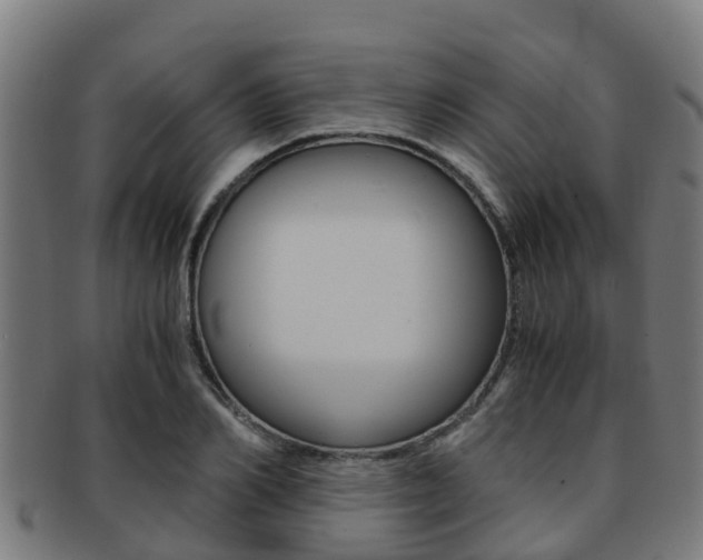 X0000091920982200709051227