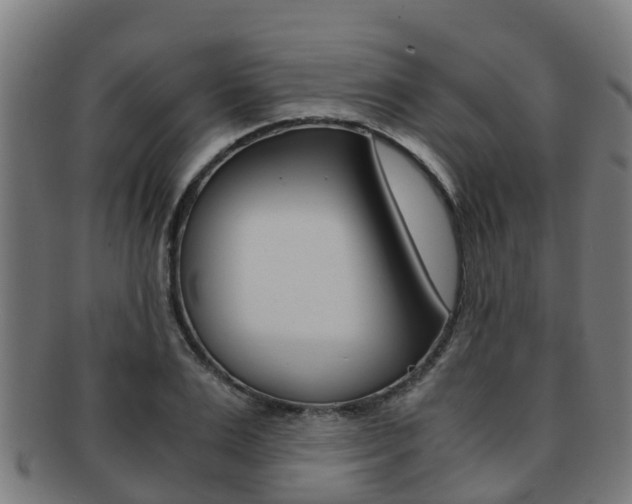 X0000091920983200709051227