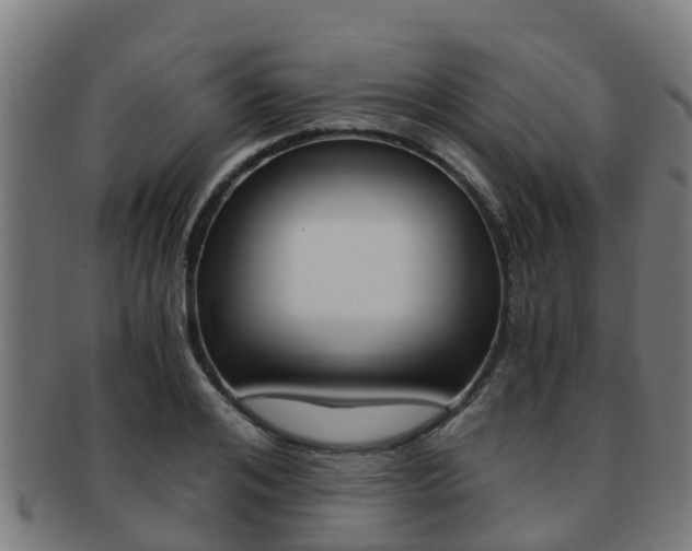 X0000091920984200709051227