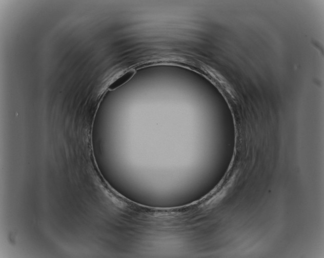 X0000091920985200709051227