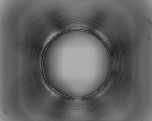 X0000091920986200709051227