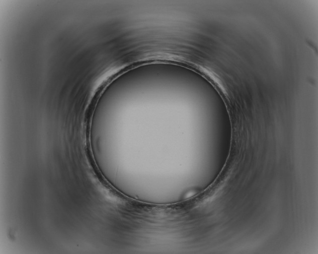 X0000091920987200709051227