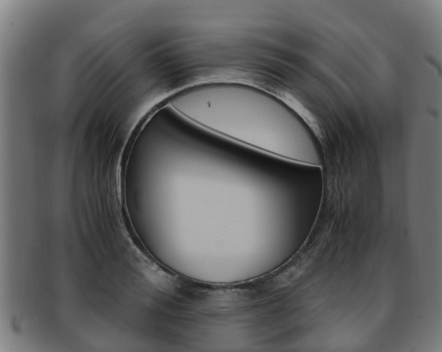 X0000091920988200709051227