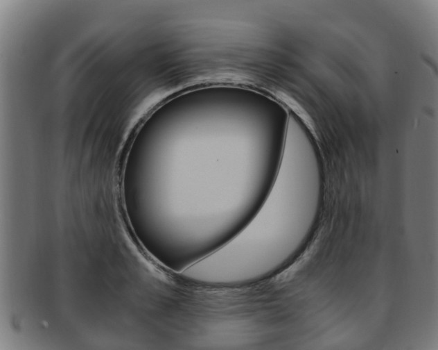 X0000091920989200709051227