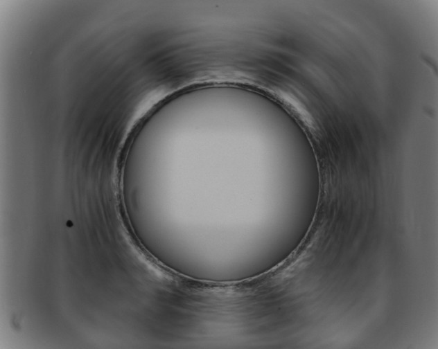 X0000091920990200709051227