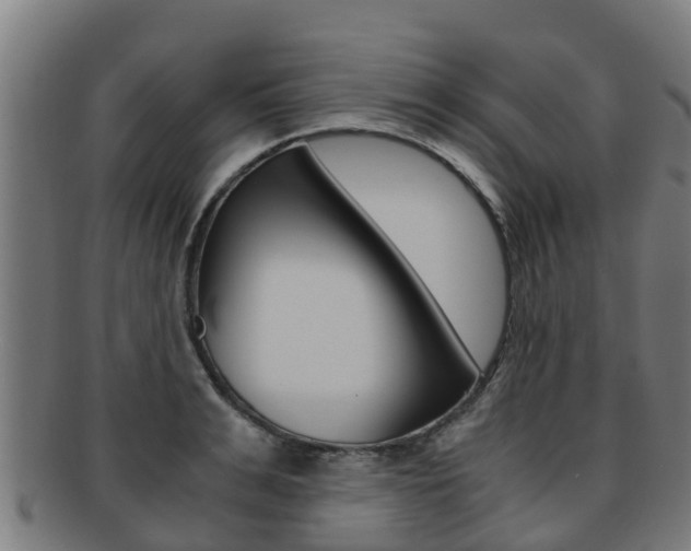 X0000091920991200709051227