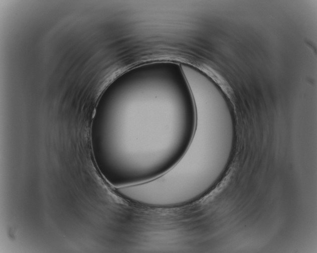 X0000091920993200709051227
