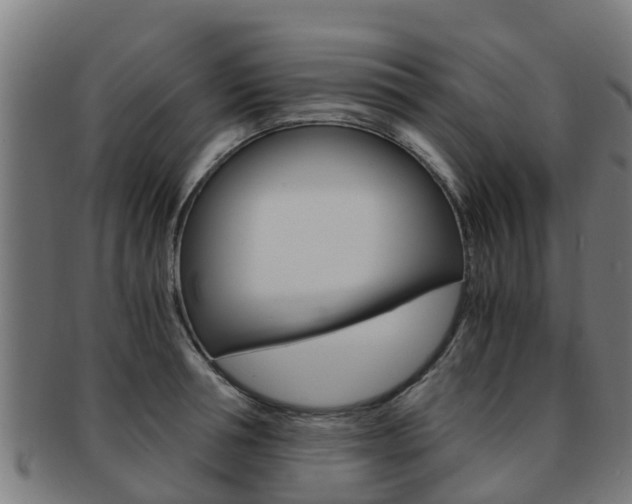 X0000091920994200709051227