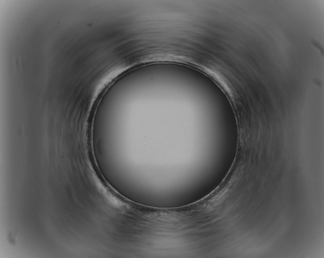 X0000091920995200709051227