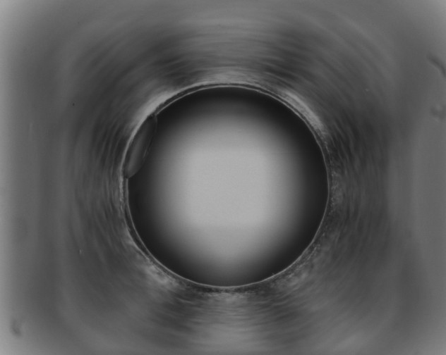 X0000091920996200709051227