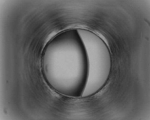 X0000091920997200709051227