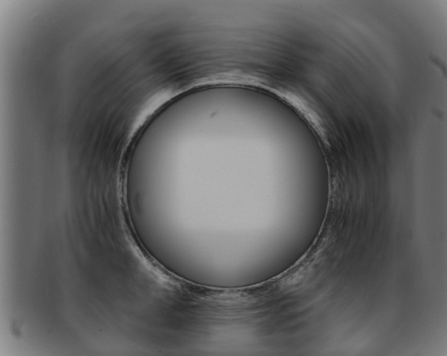 X0000091920998200709051227