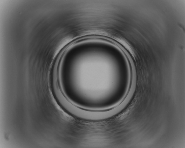 X0000091920999200709051227