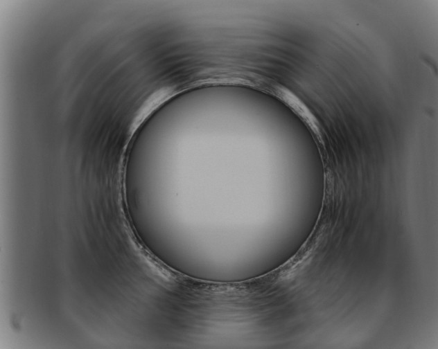 X0000091921002200709051227