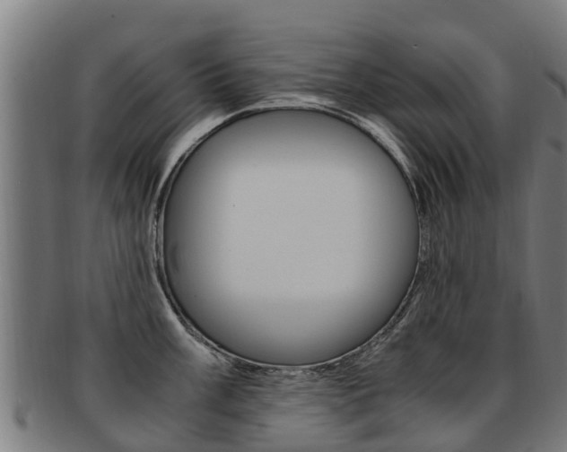 X0000091921003200709051227