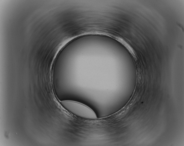 X0000091921004200709051227