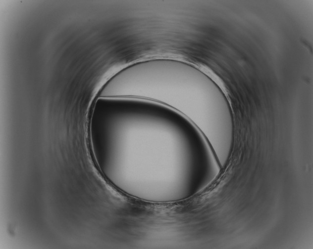 X0000091921005200709051227