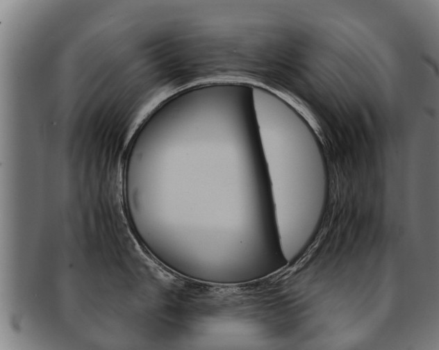 X0000091921006200709051227