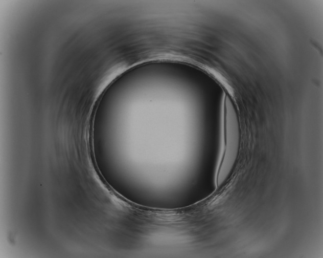 X0000091921007200709051227