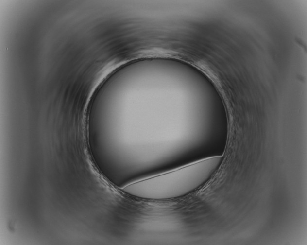X0000091921008200709051227