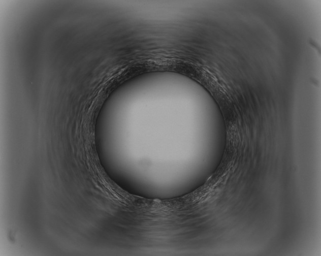 X0000091921009200709051226