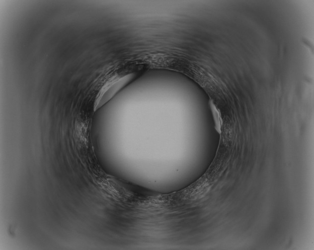 X0000091921010200709051226