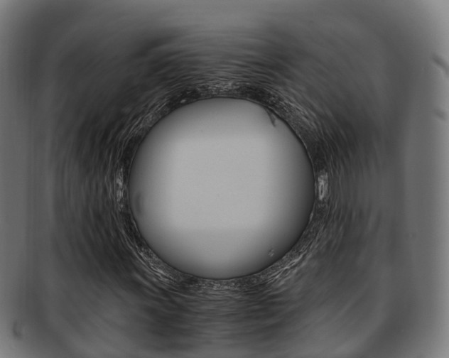 X0000091921011200709051226