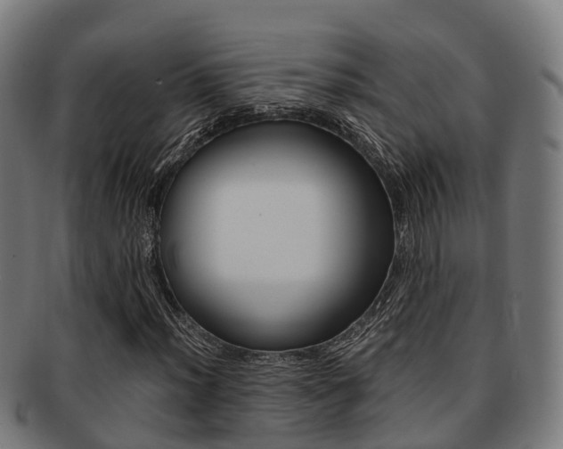 X0000091921012200709051226