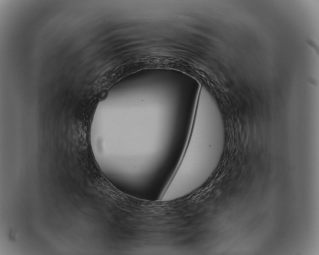 X0000091921013200709051226