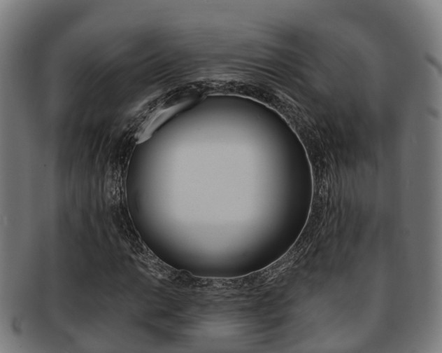 X0000091921014200709051226