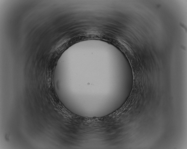 X0000091921015200709051226