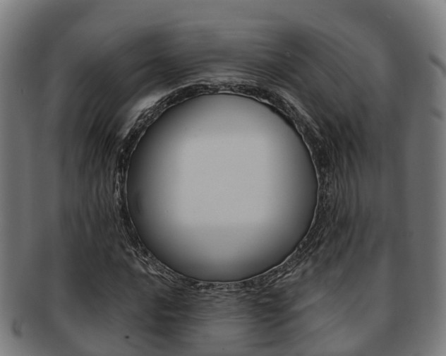 X0000091921016200709051226