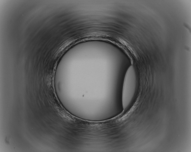 X0000091921017200709051226