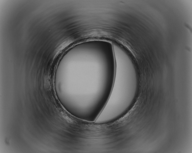X0000091921018200709051226