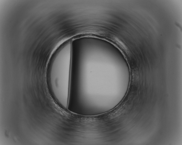 X0000091921020200709051227