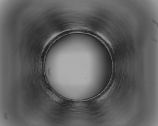 X0000091921021200709051227