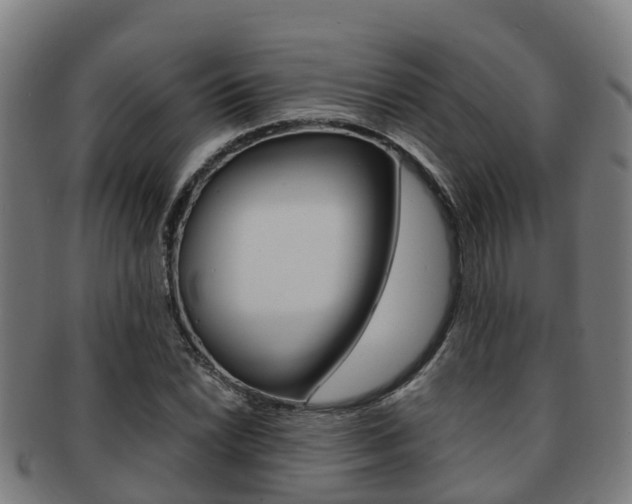 X0000091921022200709051227