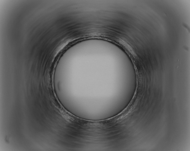 X0000091921023200709051227