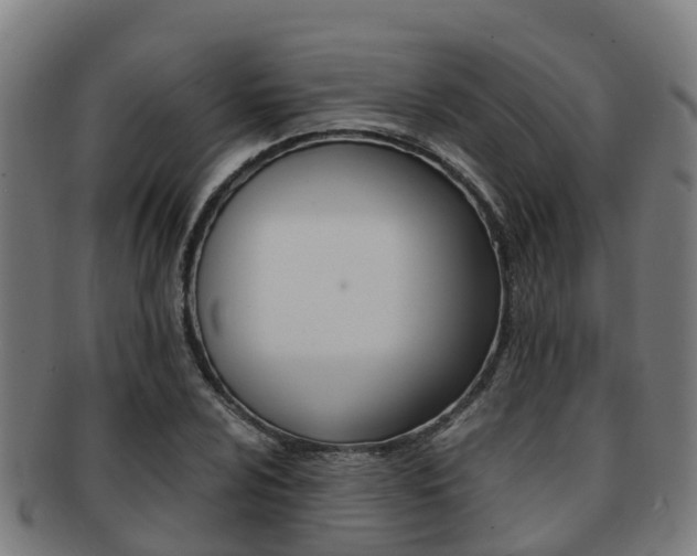 X0000091921024200709051227