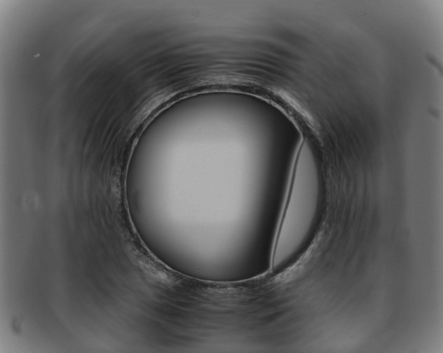 X0000091921025200709051227