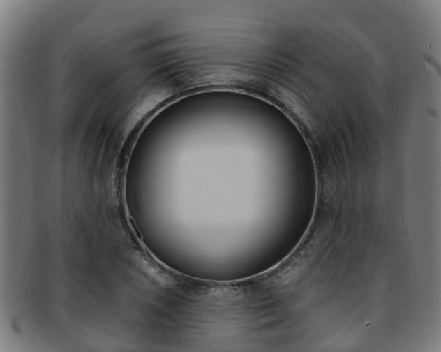 X0000091921026200709051227