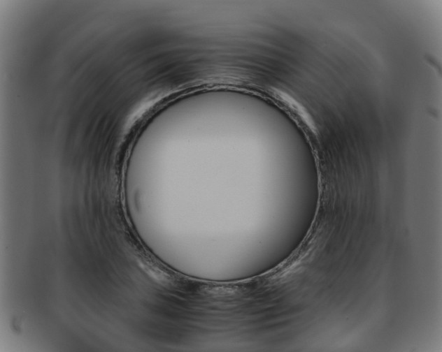 X0000091921027200709051227