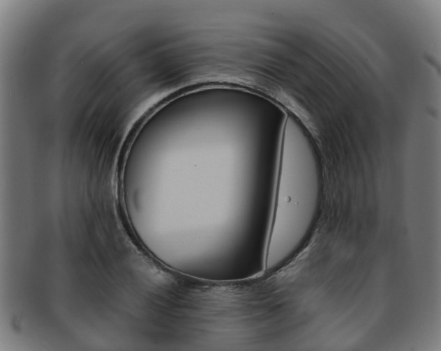 X0000091921028200709051227