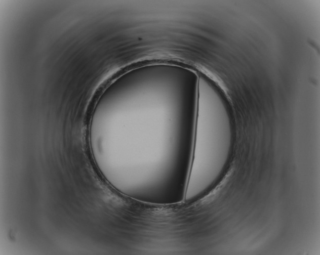 X0000091921029200709051227