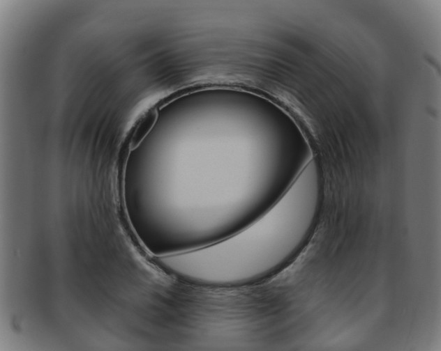X0000091921030200709051227