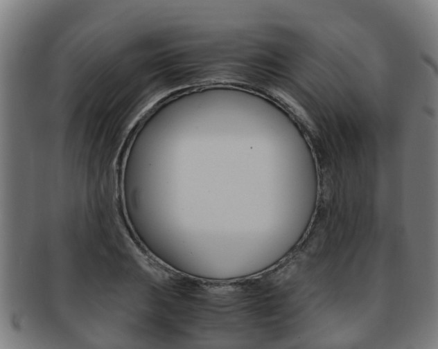 X0000091921031200709051227