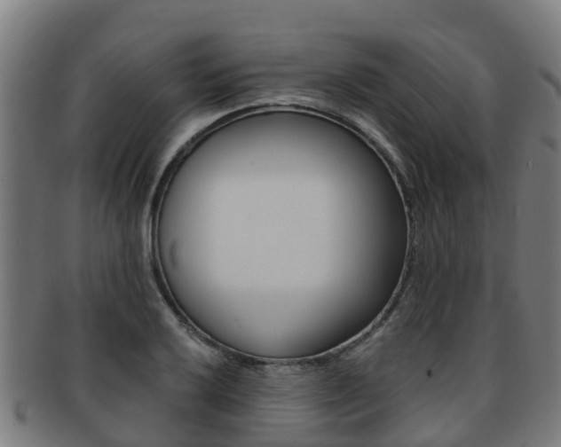 X0000091921032200709051227