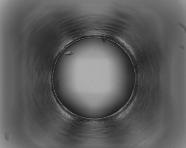 X0000091921033200709051227
