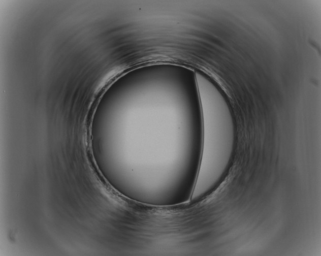 X0000091921034200709051227